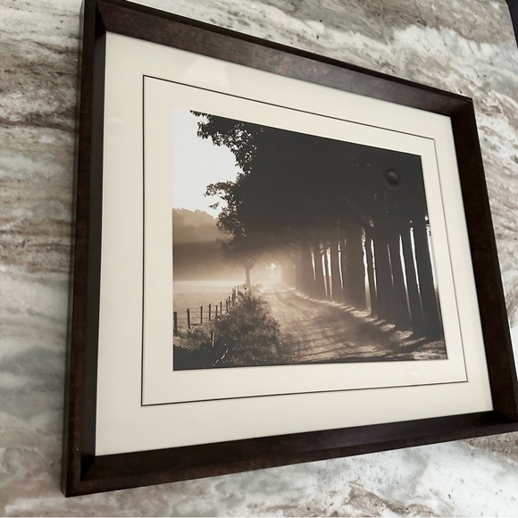 Sepia Tree Landscape Print Framed Glass Art - Wall Decor - Picture 3 of 16